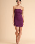 Plum Crush Strapless Mini Dress