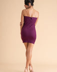 Plum Crush Strapless Mini Dress