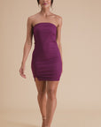 Plum Crush Strapless Mini Dress